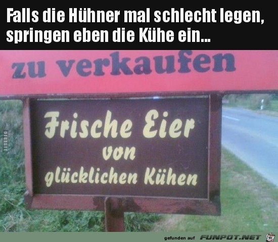 Frische Eier....... Frische Eier.......