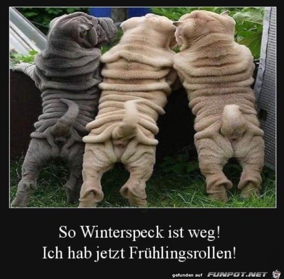 Winterspeck Winterspeck