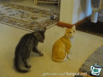 Komischer Geselle Komischer Geselle
