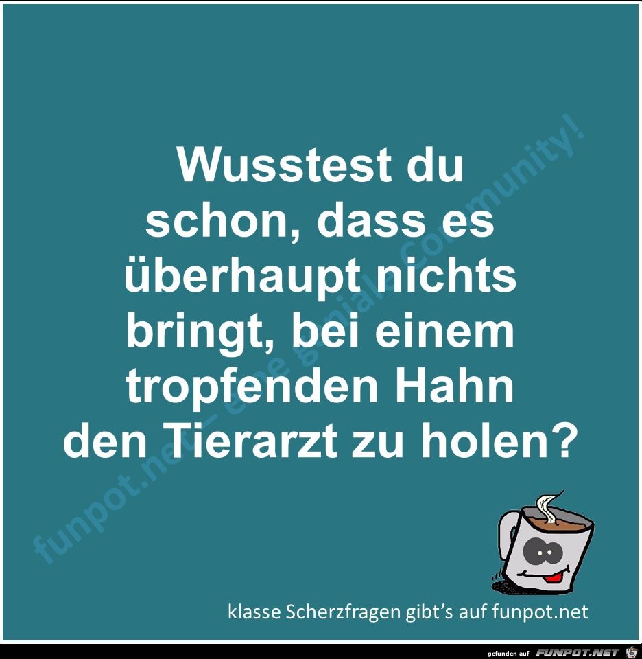 Scherzfrage Scherzfrage
