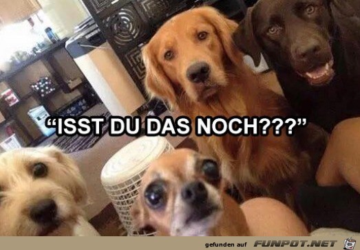 Diese Blicke Diese Blicke
