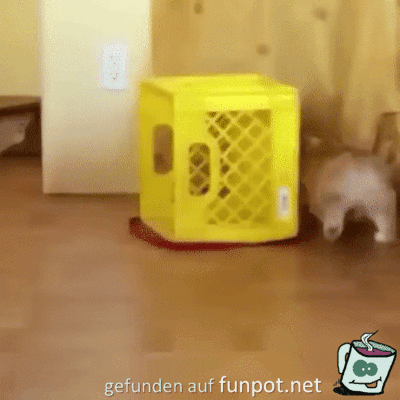 Das kapier ich jetzt nicht Das kapier ich jetzt nicht