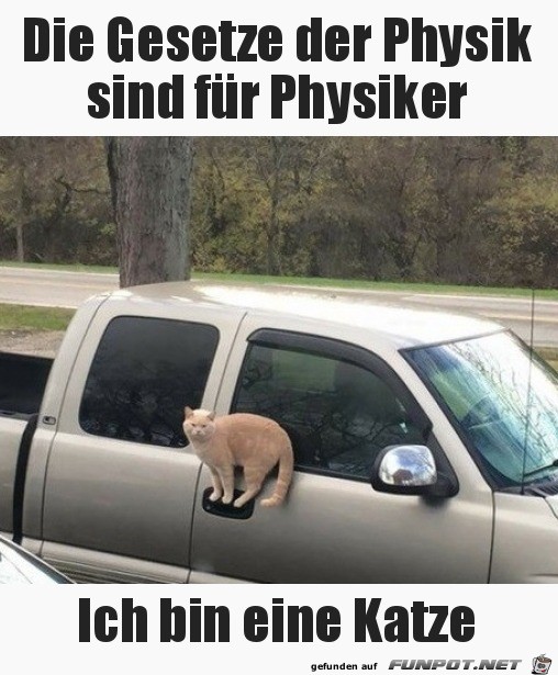 Physik