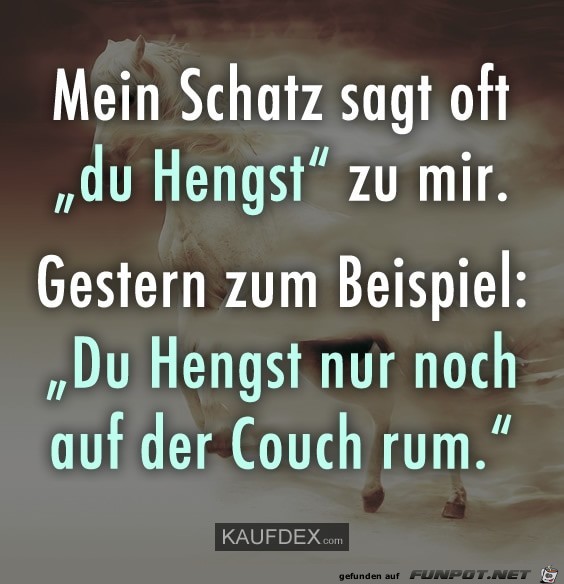 Hengst Hengst