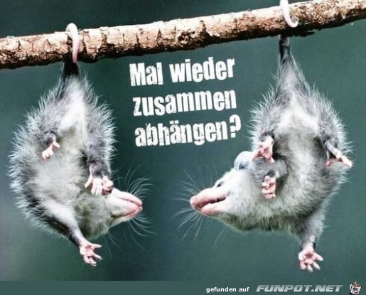Abhängen Abhängen