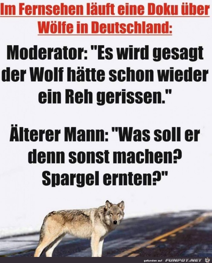 TV Sendung über Wölfe TV Sendung über Wölfe