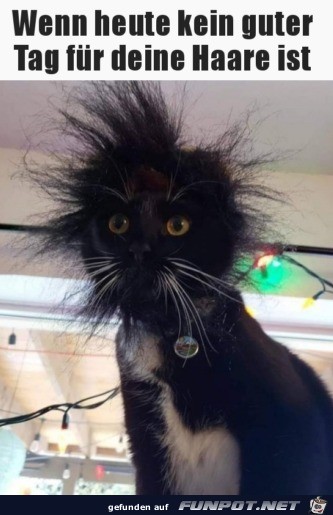 Bad Hair Day