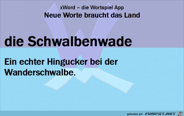 Neue-Worte-Schwalbenwade