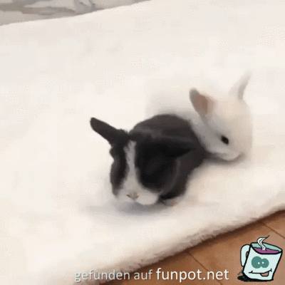 Sind die knuffig Sind die knuffig