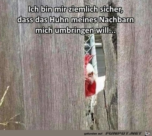Das Huhn Das Huhn