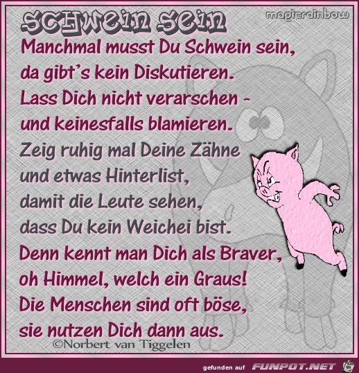 Schwein sein 2019 Schwein sein 2019