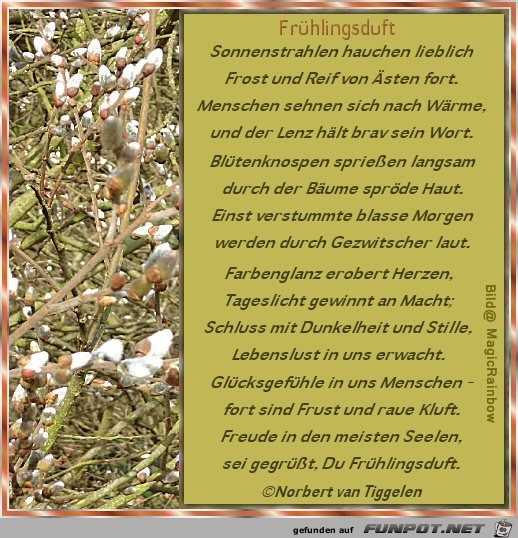 Frühlingsduft 2019 Frühlingsduft 2019