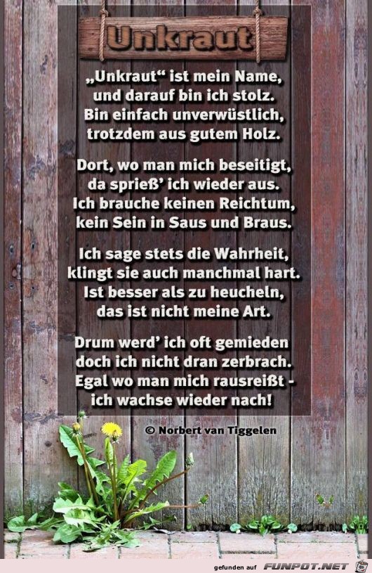 Unkraut 2019 Unkraut 2019