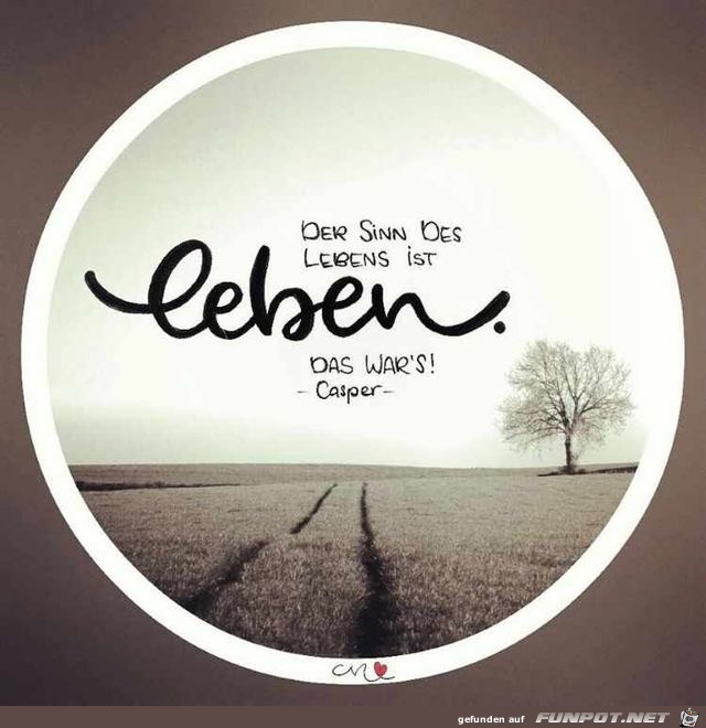 der sinn des lebens der sinn des lebens