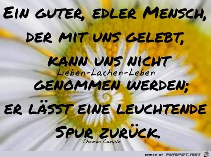ein guter edler mensch ein guter edler mensch