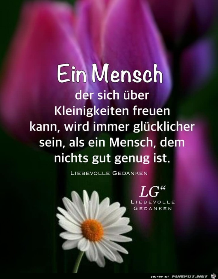 ein mensch der sich ueber kleinigkeiten ein mensch der sich ueber kleinigkeiten
