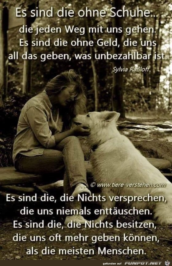 es sind die ohne schuhe es sind die ohne schuhe