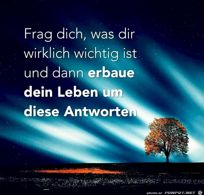 frag dich frag dich