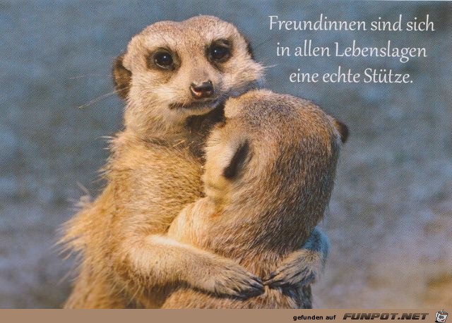 freundinnen