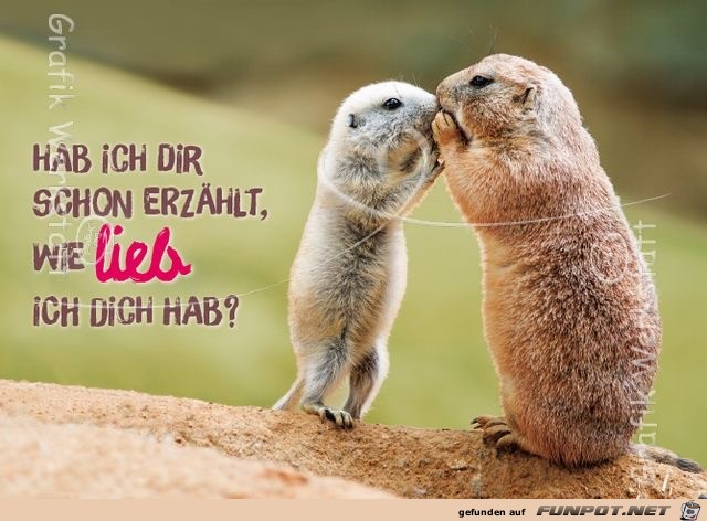 hab ich dir schon erzaehlt hab ich dir schon erzaehlt