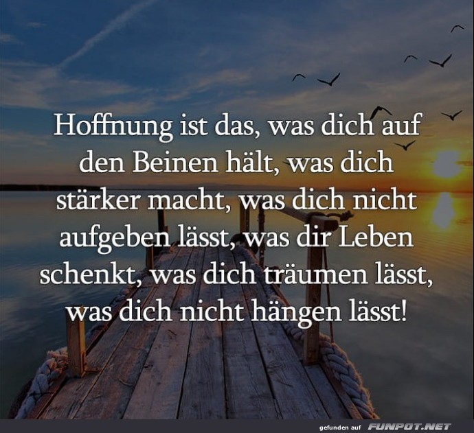 10 sch�ne Spr�che und Lebensweisheiten aus...