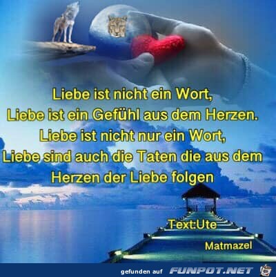 LIEBE IST NICHT EIN WORT