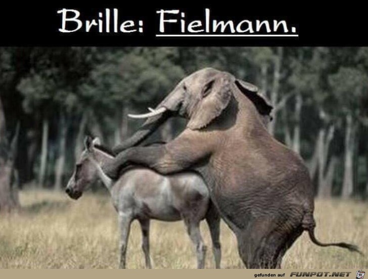 Brille wäre gut Brille wäre gut