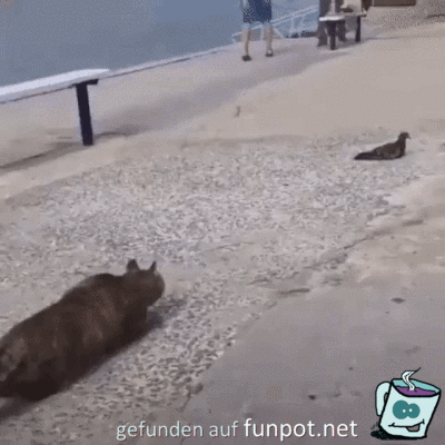 Ich wollte ja gar nichts Ich wollte ja gar nichts