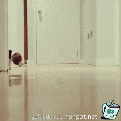 Sind die goldig Sind die goldig