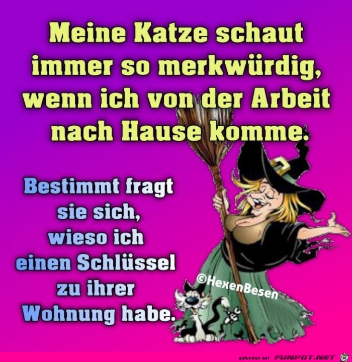 Meine Katze schaut immer so merkwuerdig Meine Katze schaut immer so merkwuerdig