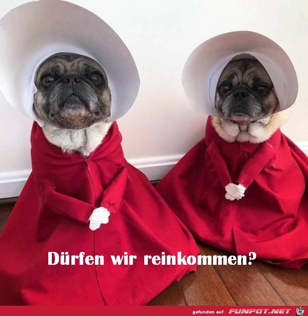 Die sehen ja drollig aus Die sehen ja drollig aus