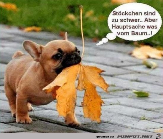 Stoeckchen sind zu schw er