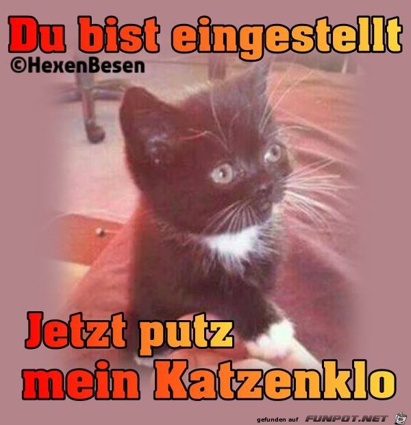 Du bist eingestellt Du bist eingestellt