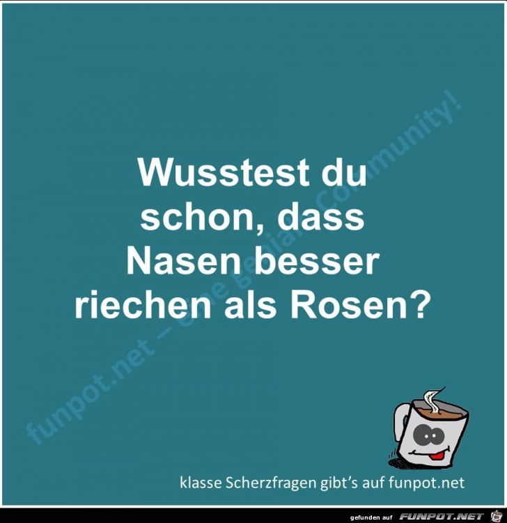 Scherzfrage Scherzfrage