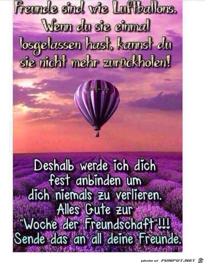 Freund Freund