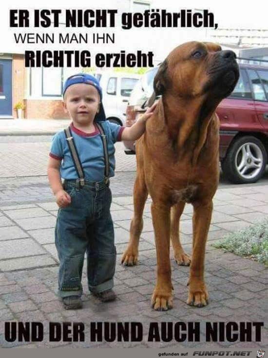 nicht gefaehrlich nicht gefaehrlich