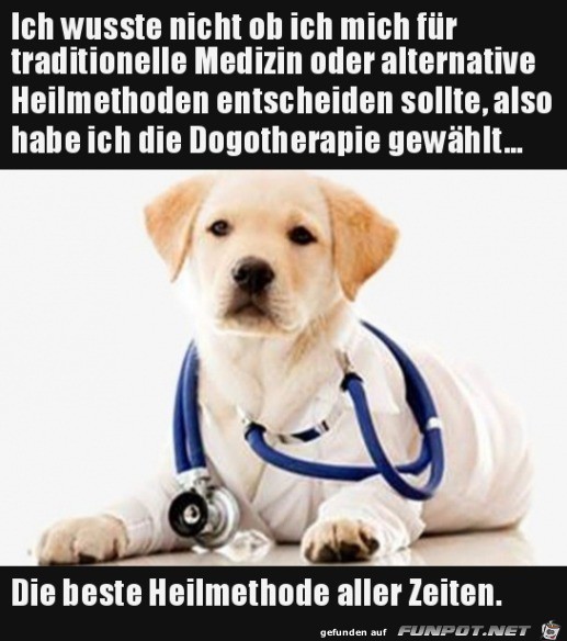 Gute Wahl Gute Wahl