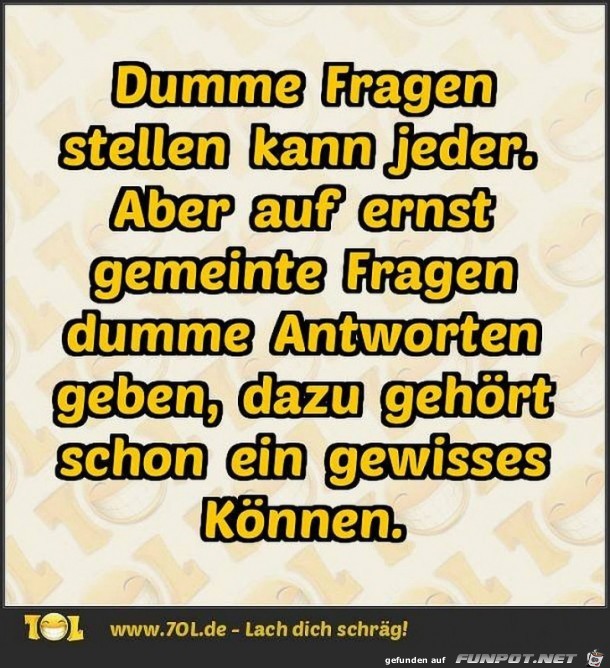 Dumme Fragen Dumme Fragen