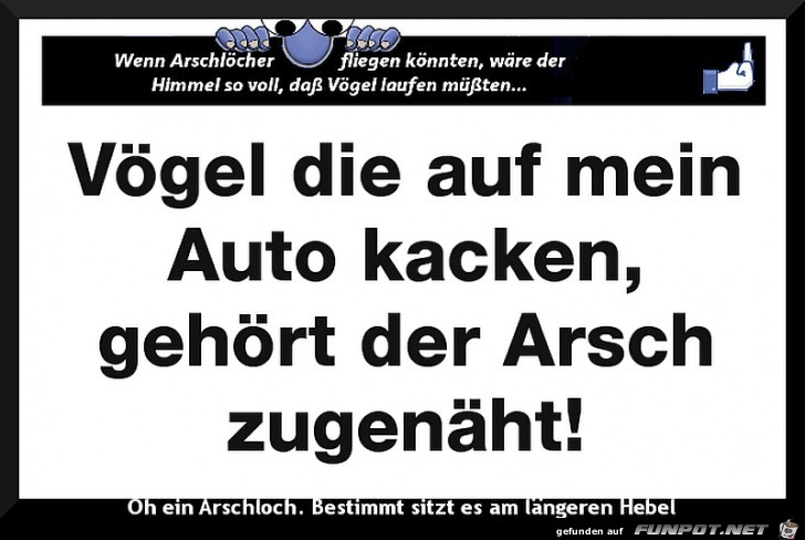 Vögel Vögel