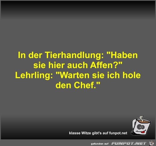 In der Tierhandlung In der Tierhandlung