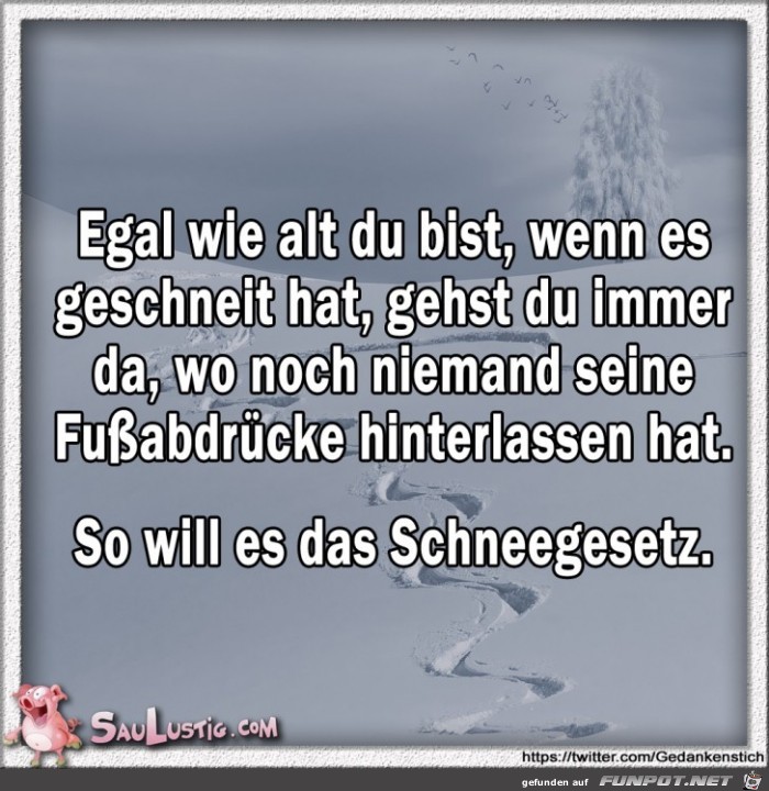 Schneegesetzt Schneegesetzt