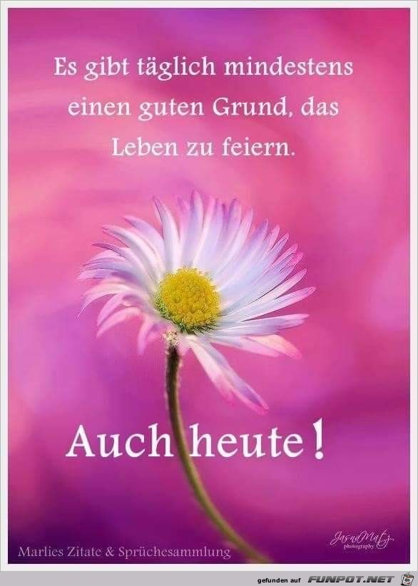 es gibt taeglich es gibt taeglich