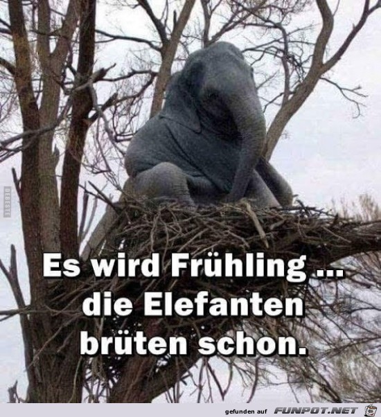 es wird Frhling..