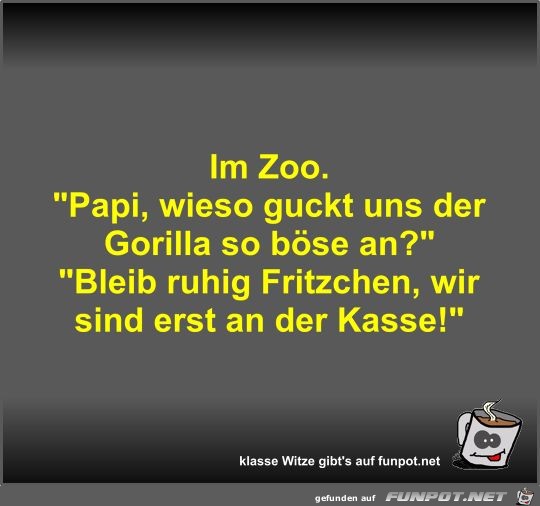 Im Zoo Im Zoo