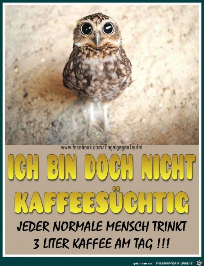 ich bin doch nicht ich bin doch nicht