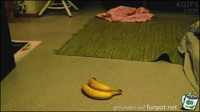Angst vor Bananen