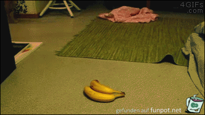 Angst vor Bananen Angst vor Bananen