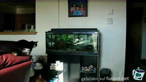 Fische fangen Fische fangen