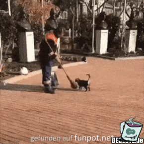 Das mag sie Das mag sie