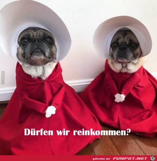 dürfen wir reinkommen? dürfen wir reinkommen?